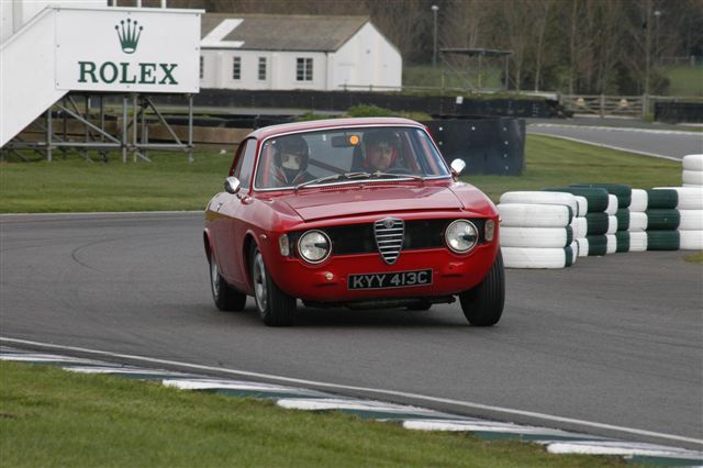 Alfa Gallery #11